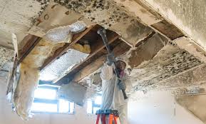 Best Residential Mold Inspection & Testing  in San Leon, TX